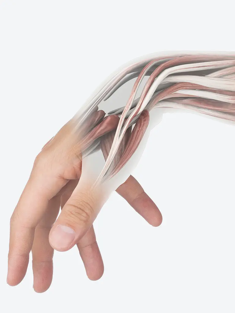 Hand Surgery